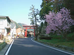 entrance torii