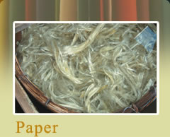 Echizen traditional Japanese paper（Echizen washi）- KOGEI JAPAN